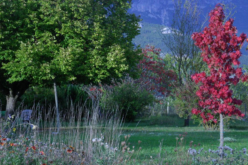 Апартаменти Le Mas De Saint-Ferreol Studio Menglon Екстер'єр фото